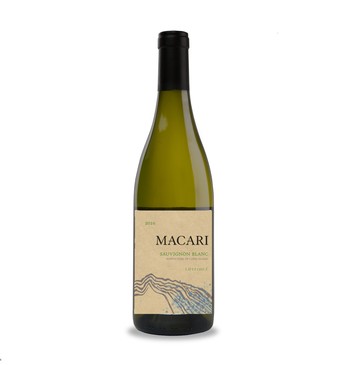 2019 Sauvignon Blanc Lifeforce